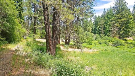 81 Williams Creek Cle Elum WA 98922