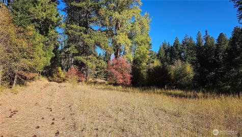 81 Williams Creek Cle Elum WA 98922