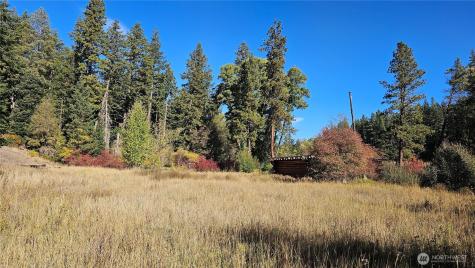 81 Williams Creek Cle Elum WA 98922