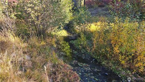 81 Williams Creek Cle Elum WA 98922