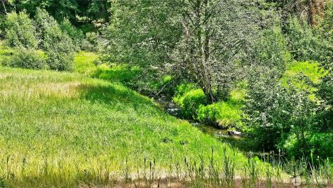 81 Williams Creek Cle Elum WA 98922