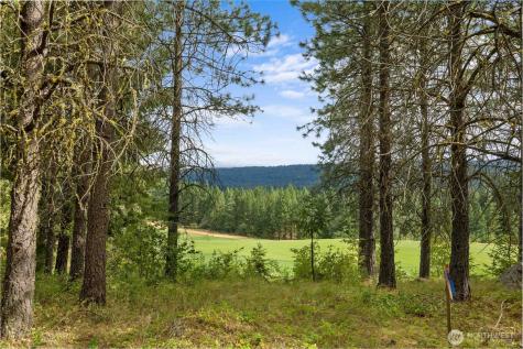 71 White Star Lane Cle Elum WA 98922