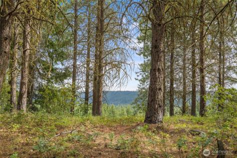 71 White Star Lane Cle Elum WA 98922