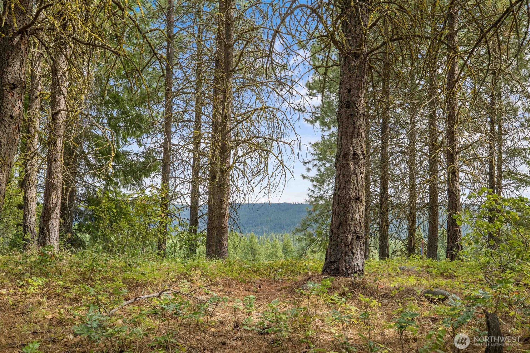71 White Star Lane Cle Elum WA 98922