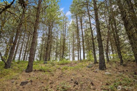 71 White Star Lane Cle Elum WA 98922