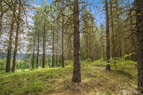71 White Star Lane Cle Elum WA 98922