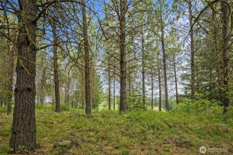 71 White Star Lane Cle Elum WA 98922