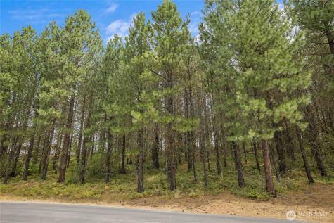 71 White Star Lane Cle Elum WA 98922