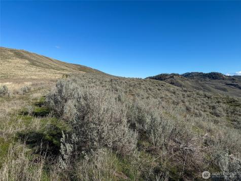 0 Lower White Rock Road Oroville WA 98844