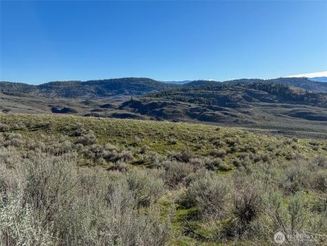 0 Lower White Rock Road Oroville WA 98844