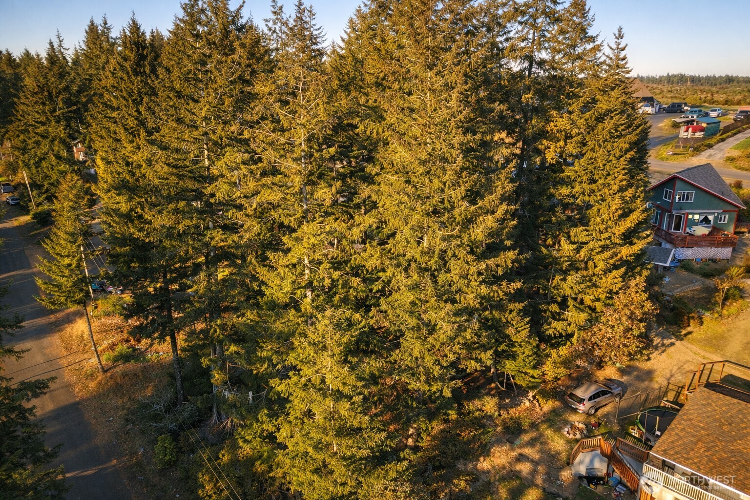 90 E Lakeview Drive Shelton WA 98584