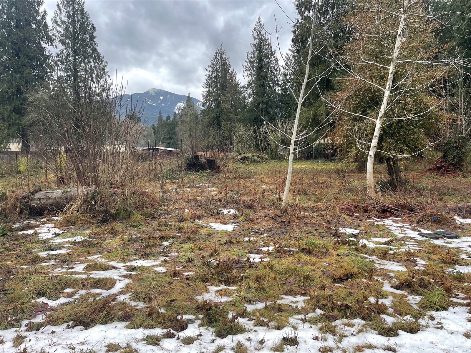 41820 Mountain View Lane Concrete WA 98237