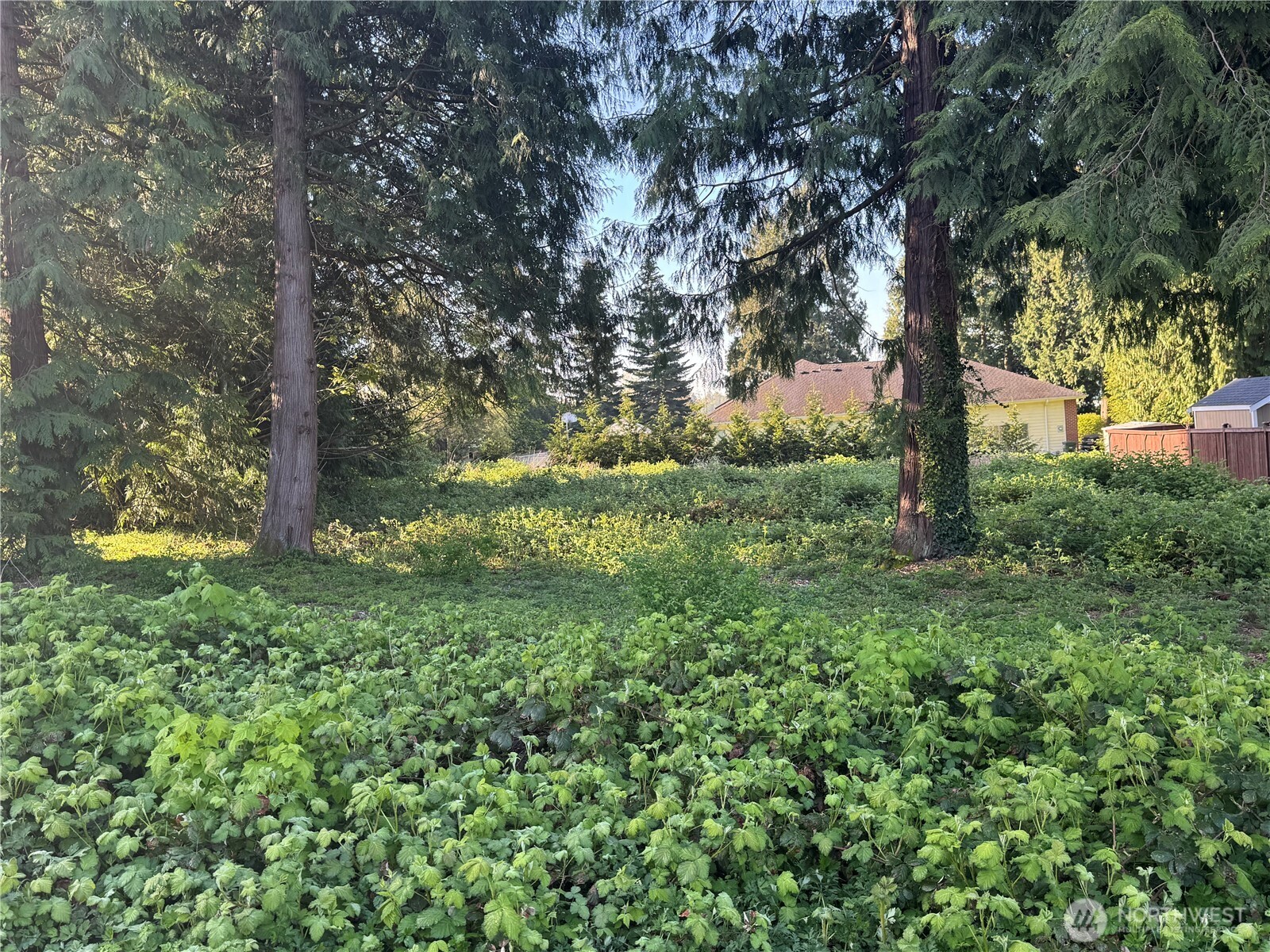 2205 Cedarwood Lane Blaine WA 98230