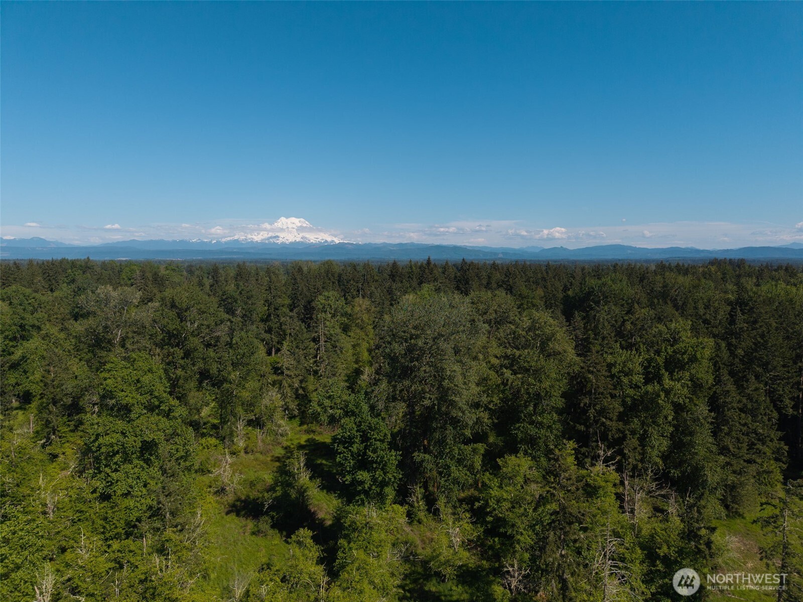 1716 304th Street E Roy WA 98360