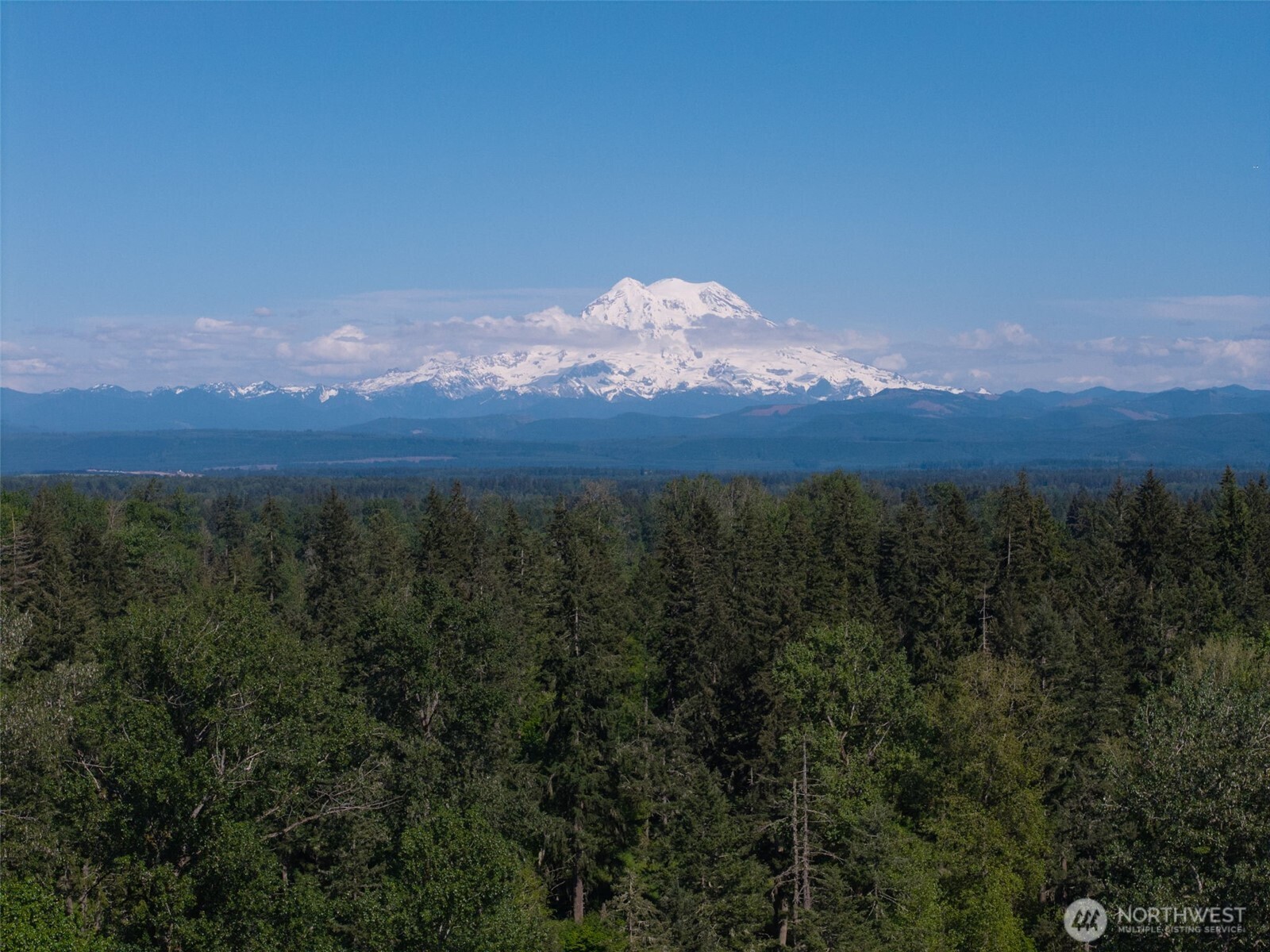 1716 304th Street E Roy WA 98360
