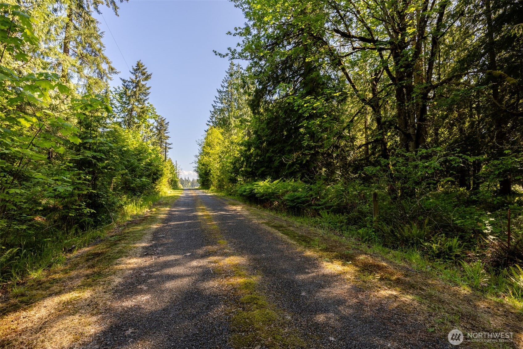 1716 304th Street E Roy WA 98360