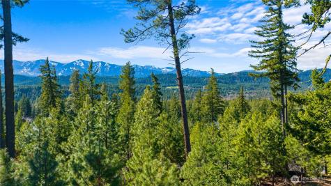 10 Red Sky Way Cle Elum WA 98922