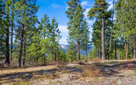 10 Red Sky Way Cle Elum WA 98922