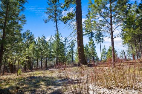 10 Red Sky Way Cle Elum WA 98922