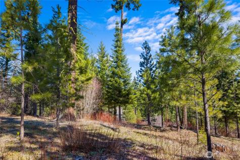 10 Red Sky Way Cle Elum WA 98922