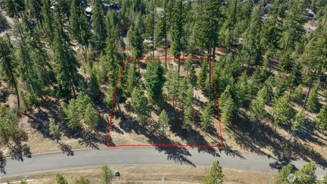 10 Red Sky Way Cle Elum WA 98922