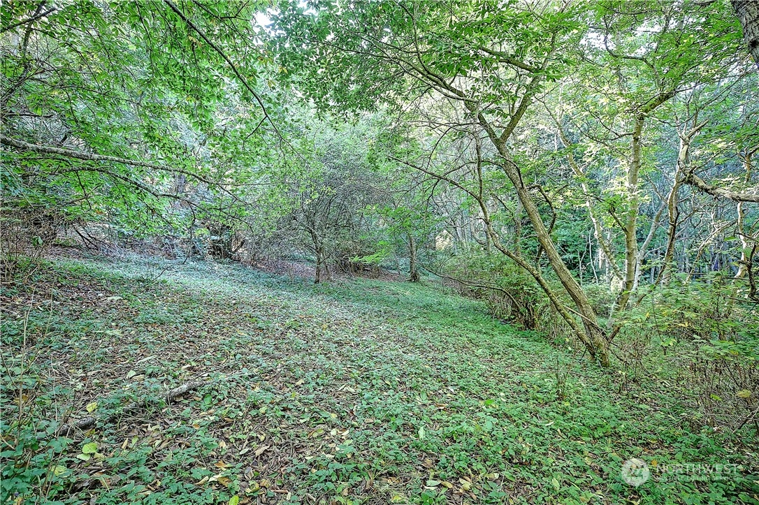 954 Valerie Drive Camano Island WA 98282