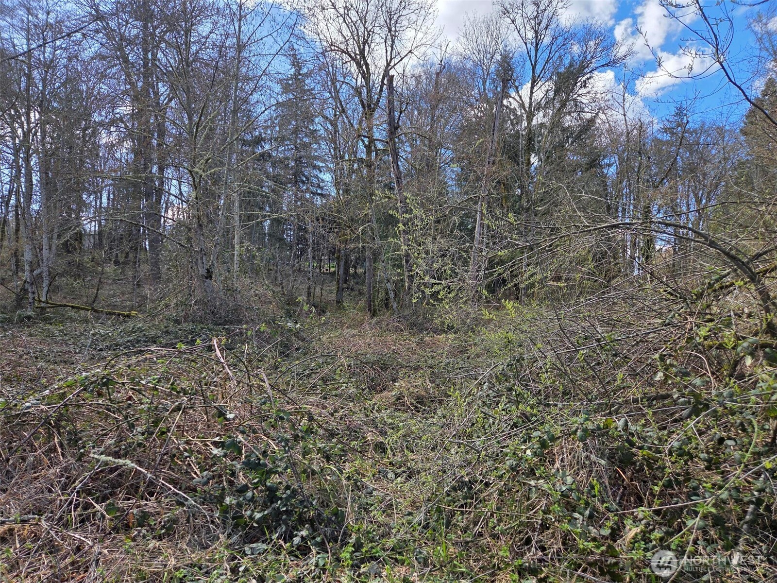 18599 SE 136th Street Renton WA 98059
