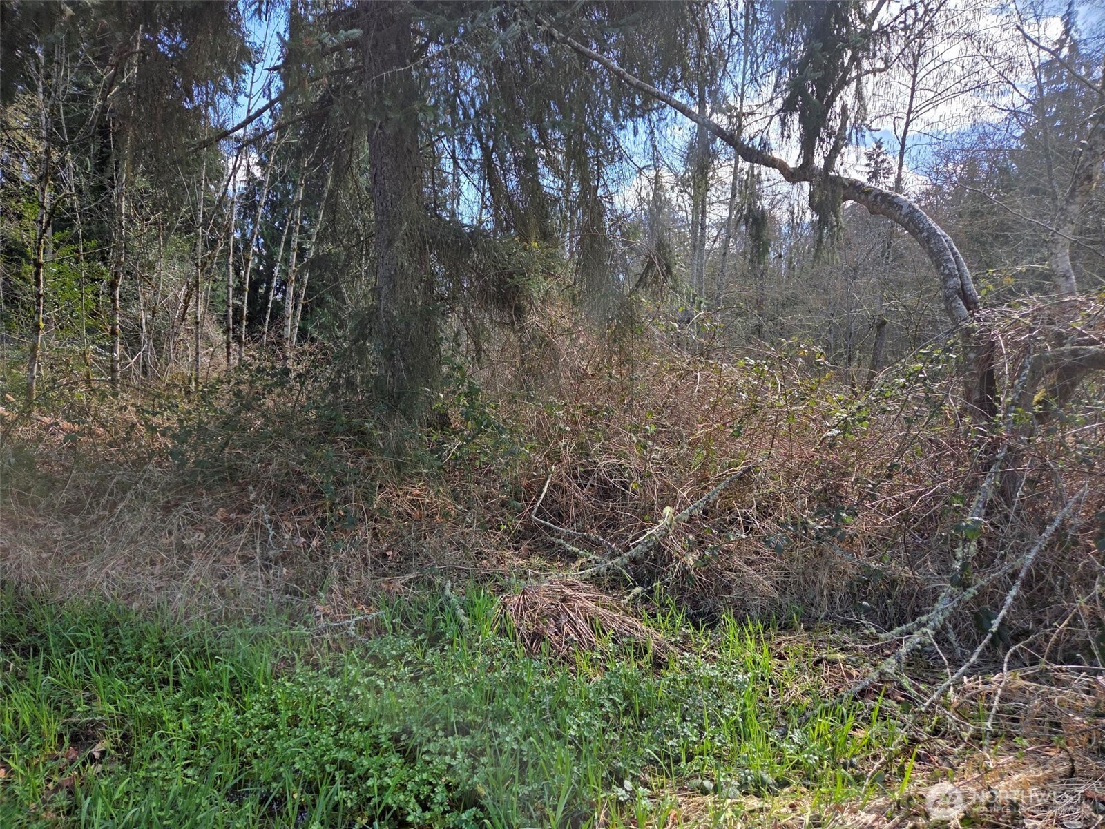 18599 SE 136th Street Renton WA 98059