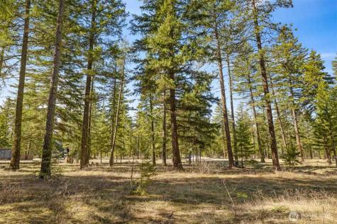 60 Wanawish Loop Cle Elum WA 98922