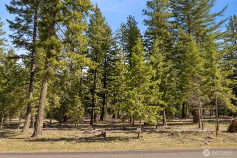60 Wanawish Loop Cle Elum WA 98922