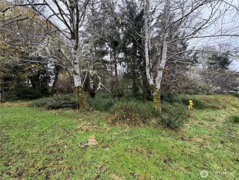 764 Tern Court Ocean Shores WA 98569