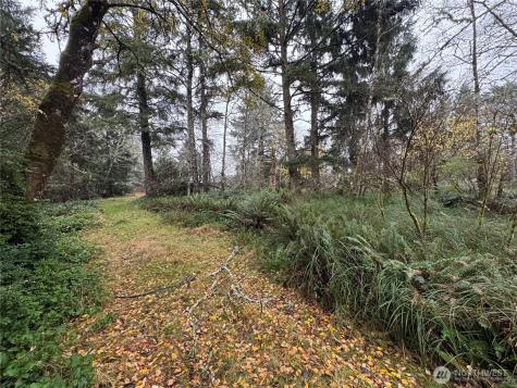 764 Tern Court Ocean Shores WA 98569