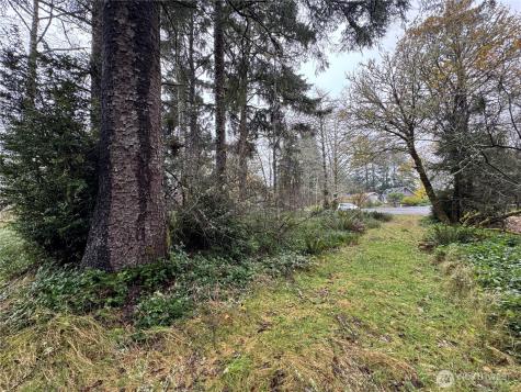 764 Tern Court Ocean Shores WA 98569