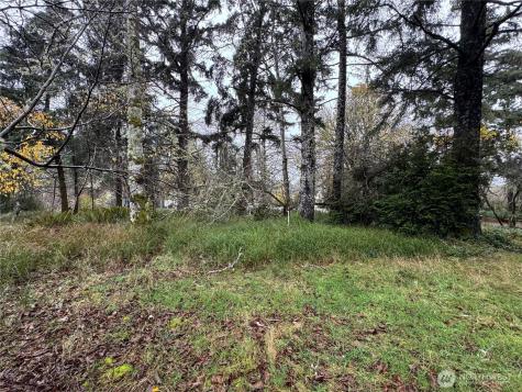 764 Tern Court Ocean Shores WA 98569