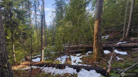 15839 Cedar Brae Road Leavenworth WA 98826