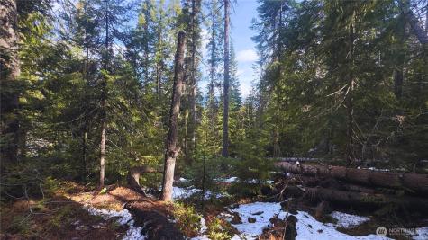 15839 Cedar Brae Road Leavenworth WA 98826