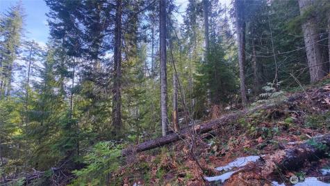 15839 Cedar Brae Road Leavenworth WA 98826