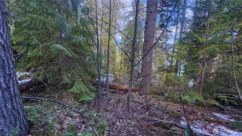 15839 Cedar Brae Road Leavenworth WA 98826