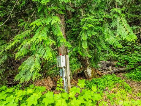 15839 Cedar Brae Road Leavenworth WA 98826