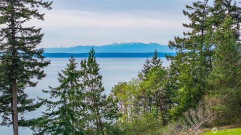 1418 Sergios View Lane Oak Harbor WA 98277