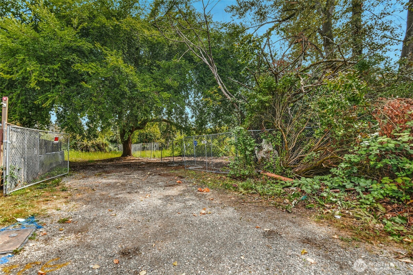 523 Park Street Monroe WA 98272