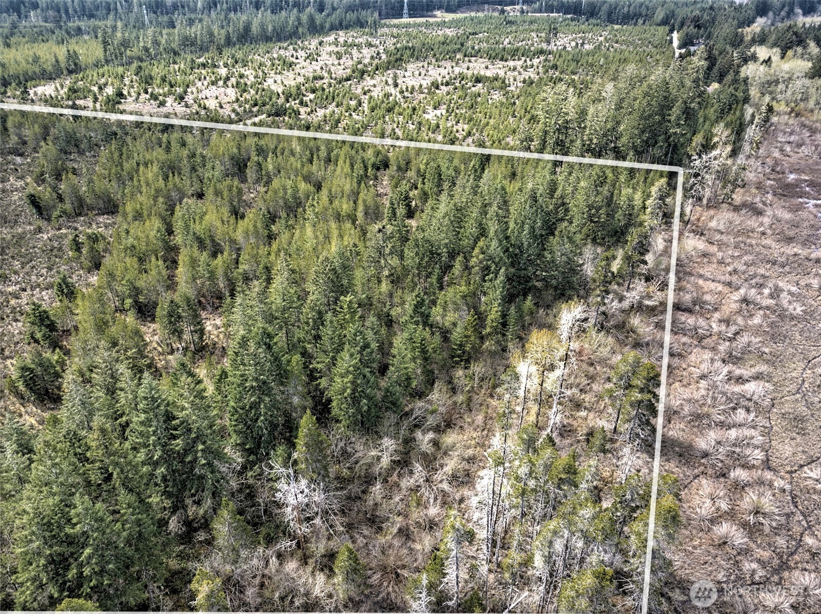 0 E Melissa Lane Shelton WA 98584