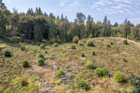 0 Newaukum Valley Road Chehalis WA 98532