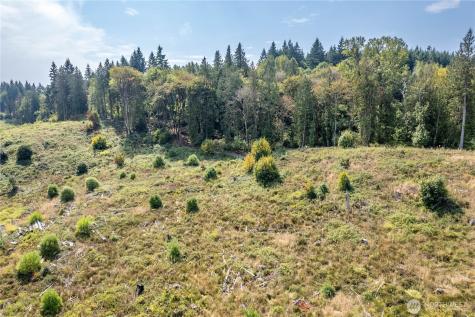 0 Newaukum Valley Road Chehalis WA 98532