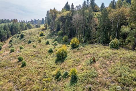 0 Newaukum Valley Road Chehalis WA 98532