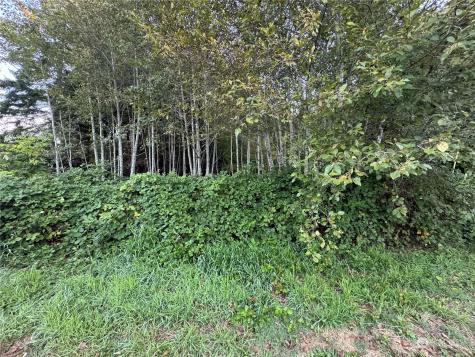 1020 Rayonier Avenue Hoquiam WA 98550