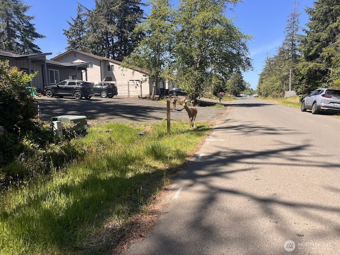 559 Sunset Avenue NE Ocean Shores WA 98569