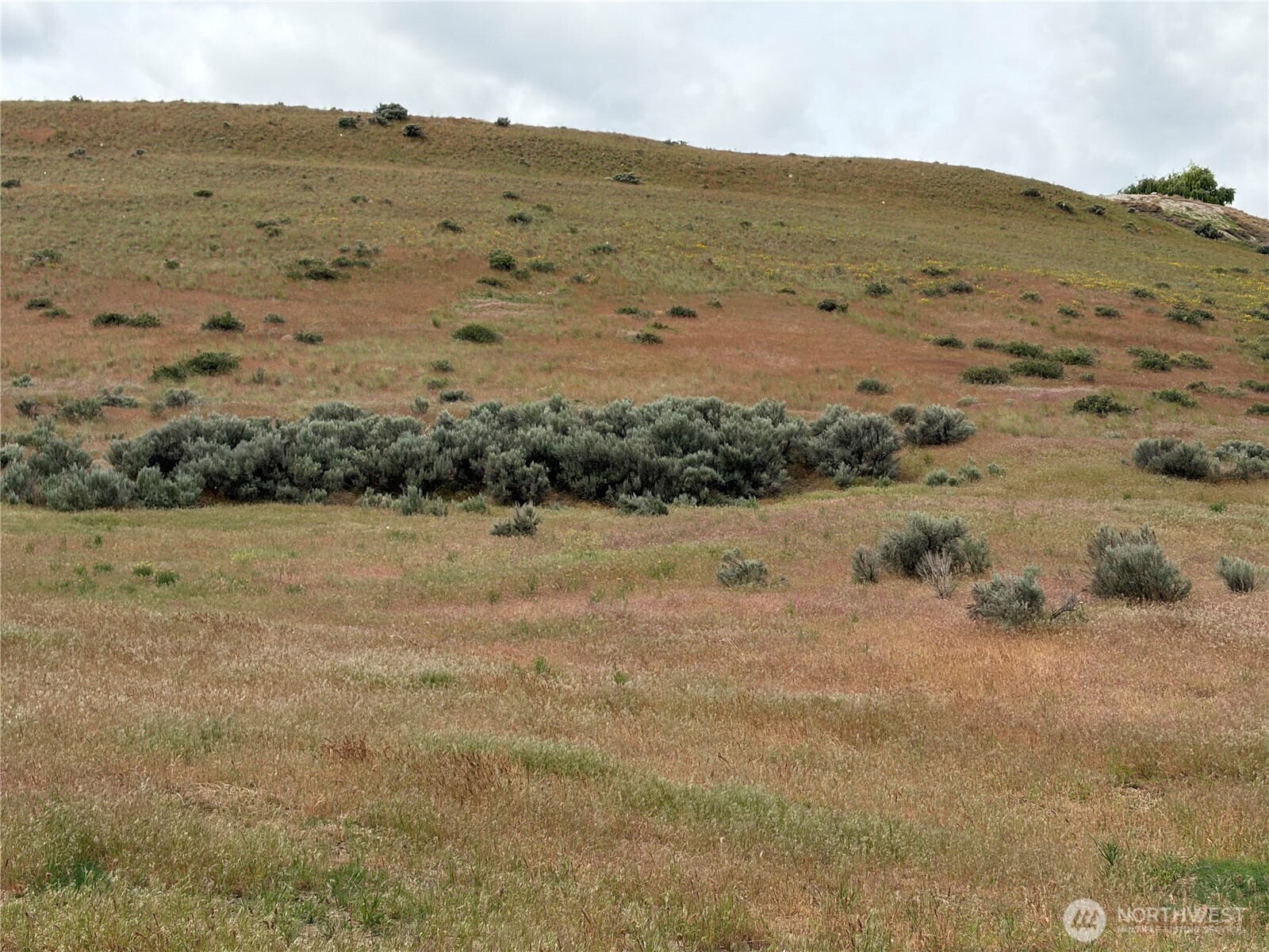 0 Adobe Way Selah WA 98942