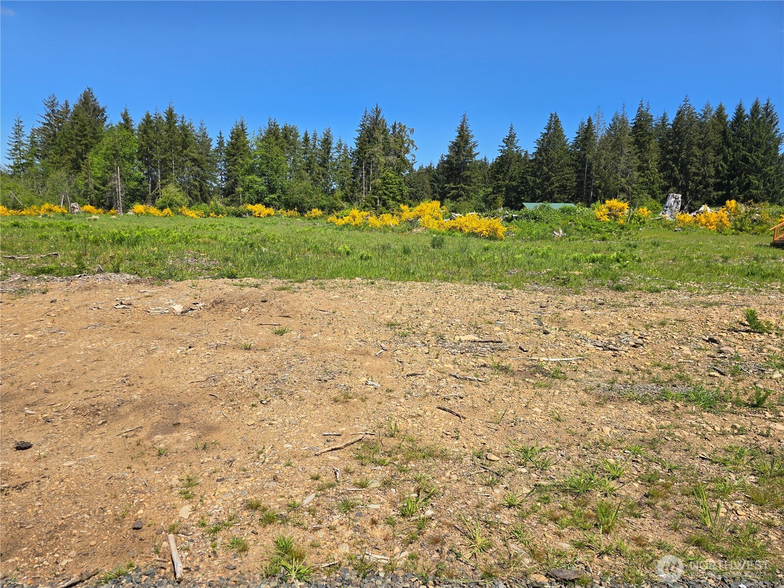 75 Newton Road Forks WA 98331