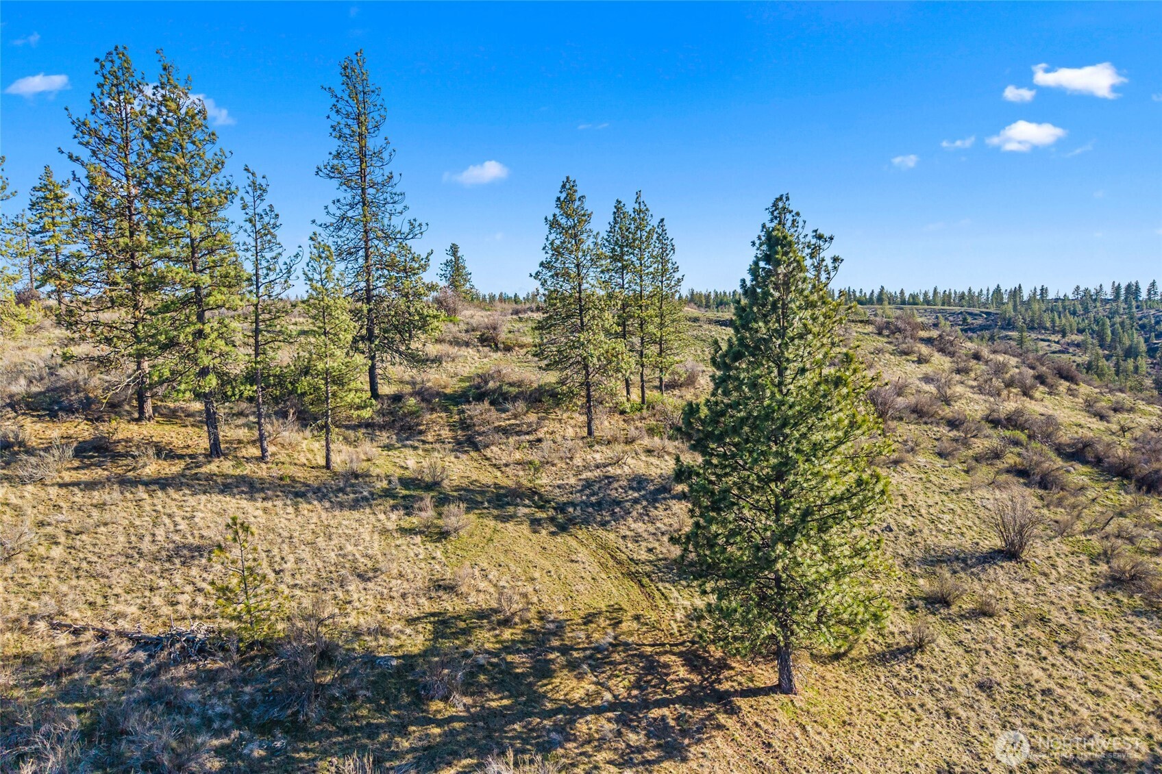 27220 Underwood Canyon Creston WA 99117